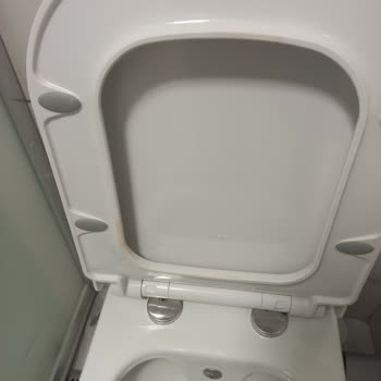 Kanalsız Klozet Hijyen Sorunu Hayal Kırıklığı Yarattı