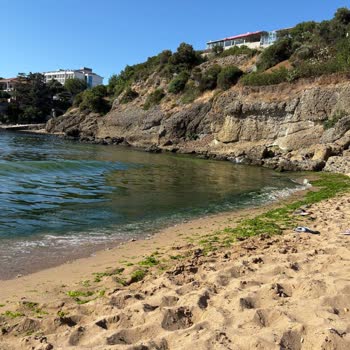 Riva Plajı'ndaki Yosun Sorunu Ve Temizlik Eksikliği