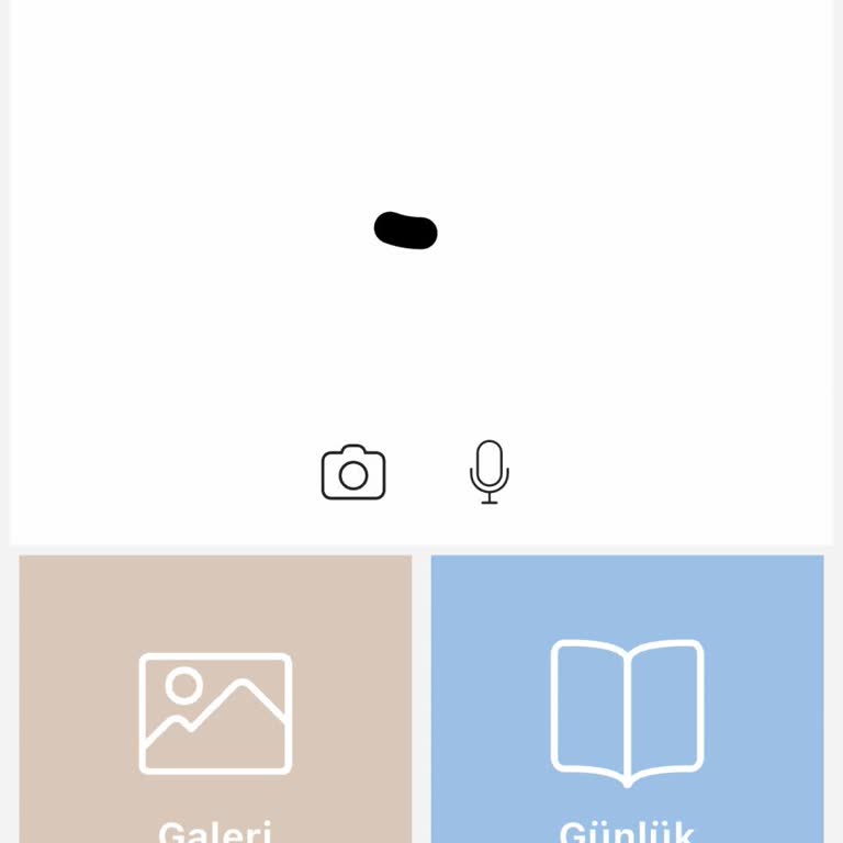 Bebek Kamerası Uygulama Eşleştirme Sorunu