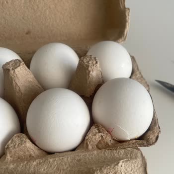 Getir'den Gelen Bozuk Ürünler Ve Hesap Kapatma Sorunu