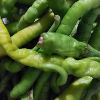 Çürük Ürün Ve Yetersiz Müşteri Hizmeti Nedeniyle Mağduriyet