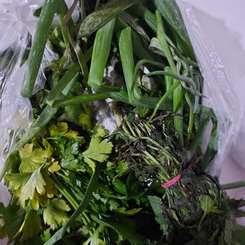 Çürük Ürün Ve Yetersiz Müşteri Hizmeti Nedeniyle Mağduriyet