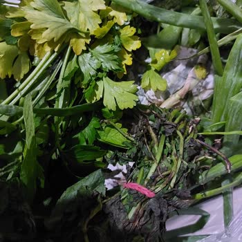 Çürük Ürün Ve Yetersiz Müşteri Hizmeti Nedeniyle Mağduriyet