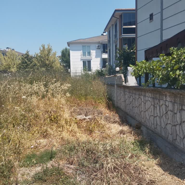 Boş Araziye Bakımsızlık Yangın Tehlikesi Yaratıyor