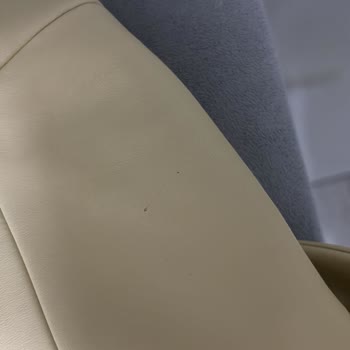 Aldığım Deri Ceket Defolu Çıktı Mağaza Sorumluluk Almadı