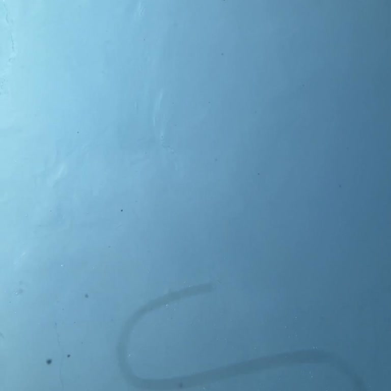 Çukurova Park Vadi Tesisleri Kötü Hizmette