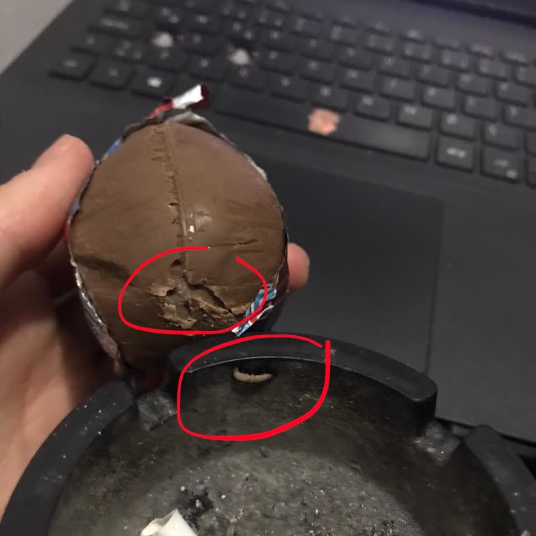 Ozmo Sürpriz Yumurtadan Kurt Çıkması Ve Müşteri Hizmetlerine Ulaşılamaması