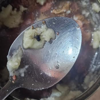 Konserve Kavurmanın İçinden Yabancı Madde Çıkması