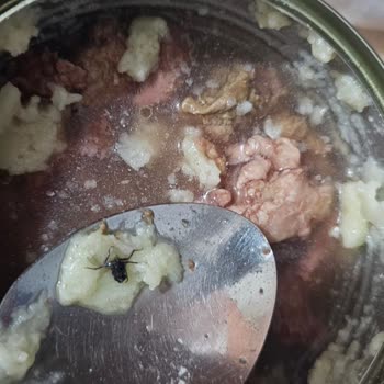 Konserve Kavurmanın İçinden Yabancı Madde Çıkması