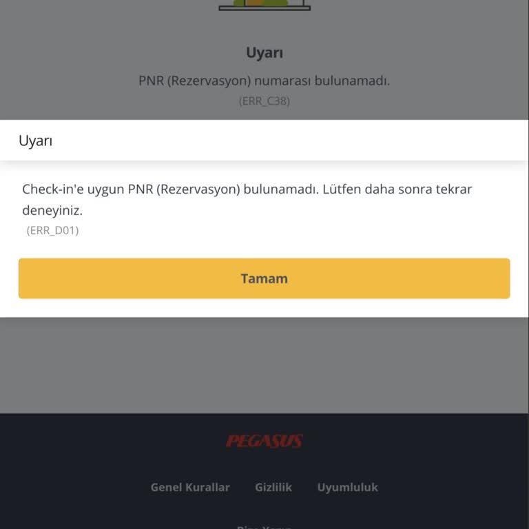 Check-in Hatası Nedeniyle Ekstra Bilet Mağduriyeti