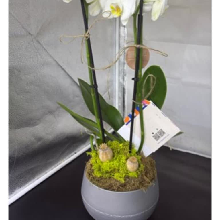 Siparişim Görsele Uymadı Ve Onayım Alınmadan Gönderildi