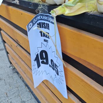 Samandıra Özkuruşlar Taze Mısır Diye Çürük Ürün Satıyor