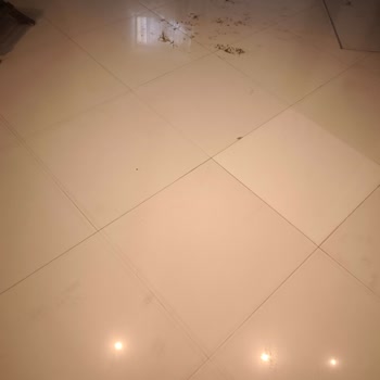 Temple Beach Otelinde Hizmet Ve Hijyen Sorunları, İlgisiz Yönetim