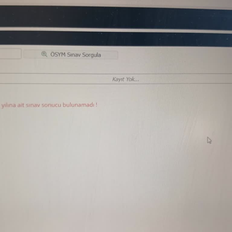 ALES2 Sonucu Sistemde Görünmüyor, Başvuru Yapamıyorum