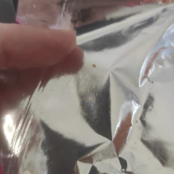 Kekstra Paketinden Kıl Çıkması Ve Hijyen Sorunu