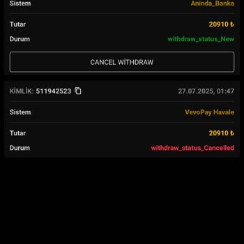Yatırım Sonrası Kazancımı Çekemiyorum Ve Destek Yanıt Vermiyor