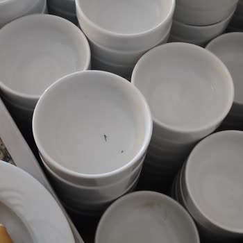 Tatilimde Yaşadığım Hijyen Ve Hizmet Sorunları