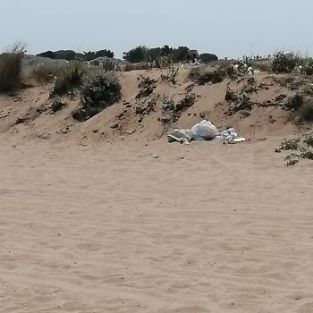 Şile Alacalı Sahilde Çöp Sorunu Aile Keyfini Gölgeliyor