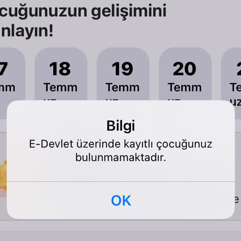Doğum Yardımı Başvurusu Onaylandı, Uygulamada Çocuk Bilgisi Görünmüyor