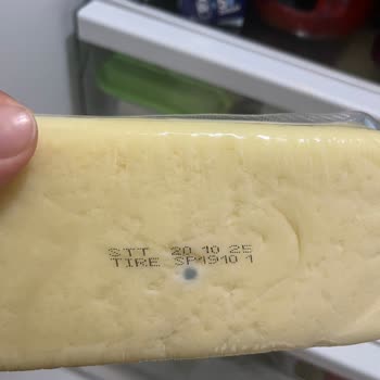 Son Kullanma Tarihi Geçmemiş Kaşar Peynirinin Küflü Çıkması Ve Güven Sorunu