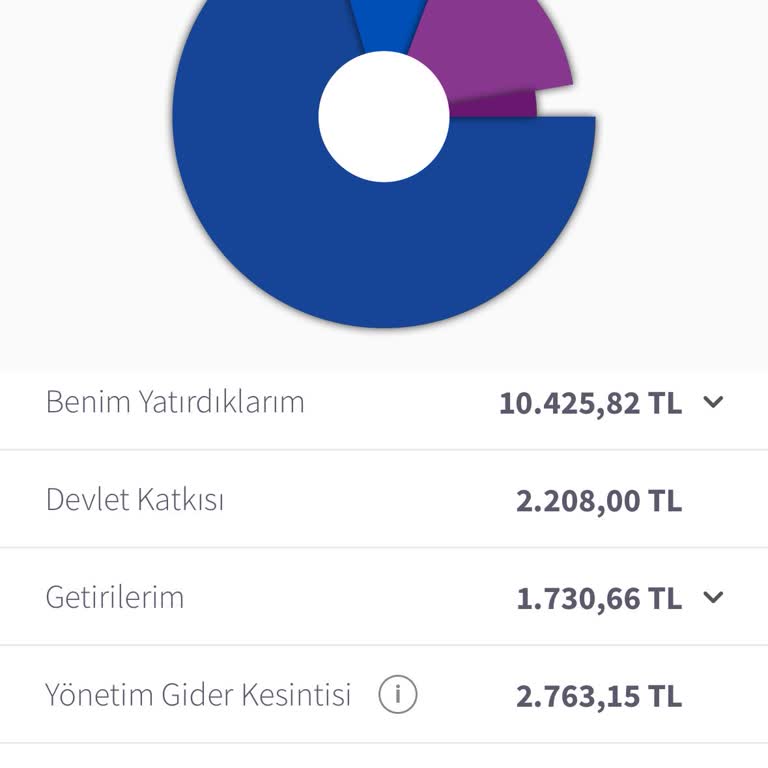 Birikimden Yüksek Masraf Kesintisi Ve Ana Paranın Eksilmesi
