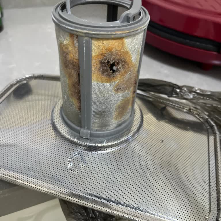 Bulaşık Makinesi Süzgecinde Küflenme Ve Yetersiz Servis Yaklaşımı