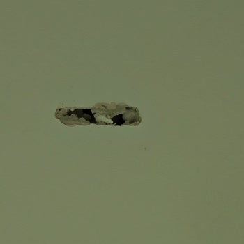 Karaca Düdüklü Tencere Patladı Evimde Hasar Oluştu Çözüm Sunulmadı