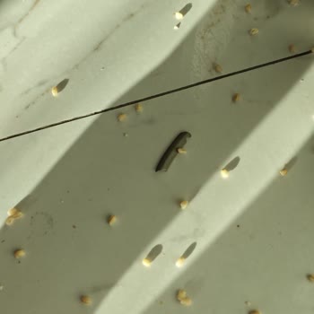 Karaca Düdüklü Tencere Patladı Evimde Hasar Oluştu Çözüm Sunulmadı