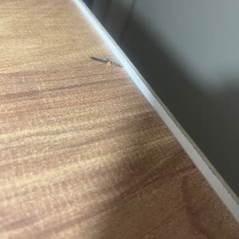 Mobilya Teslimatında Gecikme Ve Kalitesiz Ürün Deneyimi