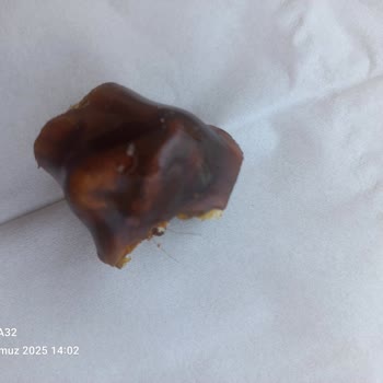 Çitlekçi Pestilde Kıl Çıkmasıyla Yaşanan Hijyen Sorunu