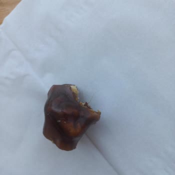 Çitlekçi Pestilde Kıl Çıkmasıyla Yaşanan Hijyen Sorunu