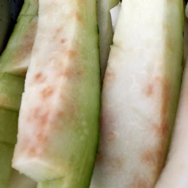 Aldığım Kavun Çürük Çıktı, Markette İlgisizlikle Karşılaştım