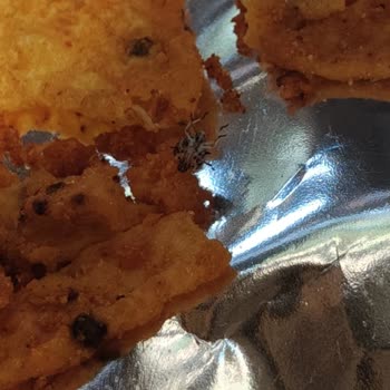 Aldığımız Patos Cipsin İçinden Böcek Çıktı, Hayal Kırıklığı Yaşadık