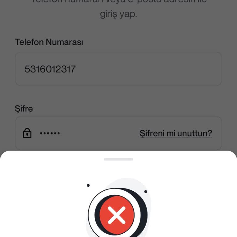 Papel Hesabıma Erişemiyorum, Bakiye Aktarımı Ve Çözüm Talebim Karşılanmıyor