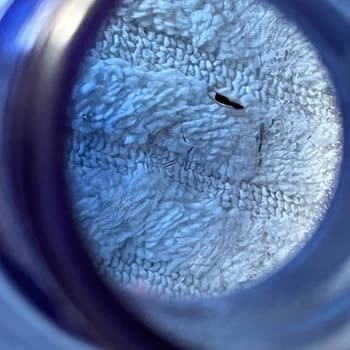 Damacana Suyun İçinde Pislik Çıkması Mağduriyet Yarattı