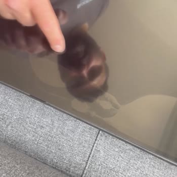 Kırık TV Teslimatı Sonrası Mağduriyetimize Çözüm Bulunmadı