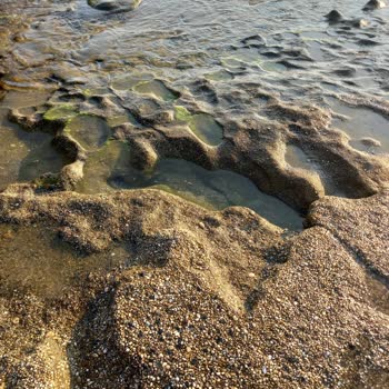 Club Hotel Mirabell Yanıltıcı Bilgi Ve Kötü Deneyim: Tatil Hayal Kırıklığı