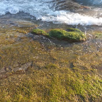 Club Hotel Mirabell Yanıltıcı Bilgi Ve Kötü Deneyim: Tatil Hayal Kırıklığı