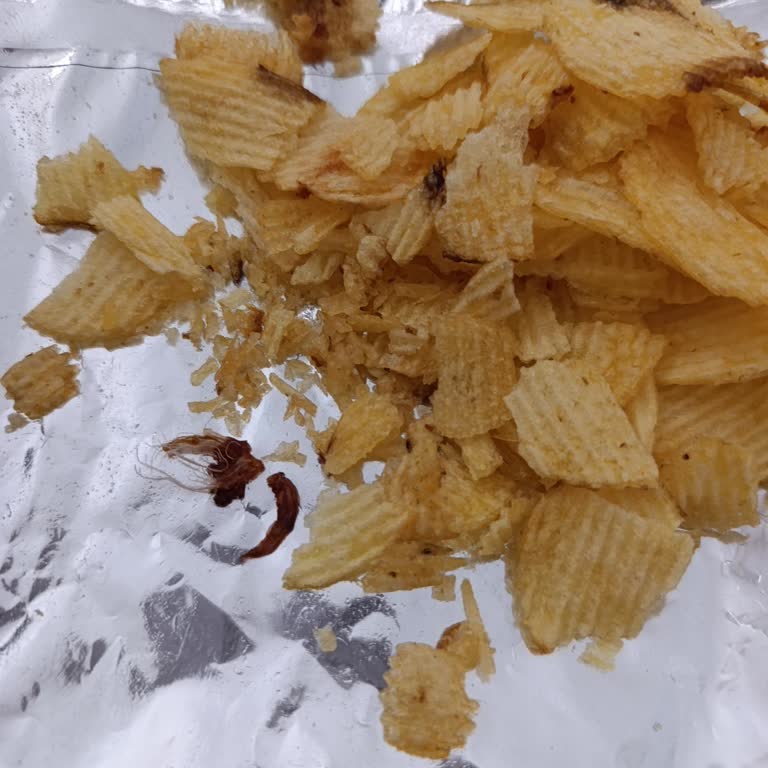 Ruffles Cipsten Böcek Çıktı İnsan Sağlığı Tehlikede