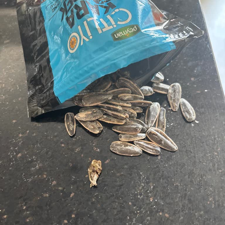 Çekirdek Paketinden Böcek Çıkması Nedeniyle Yaşanan Hijyen Sorunu Ve Rahatsızlık