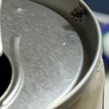 Kahvemden Çıkan Yabancı Madde Hayal Kırıklığı Yarattı