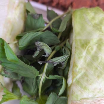 Yemeksepeti Bozuk Yemek Ve Yetersiz Çözüm: İade Yerine Kupon Teklifi