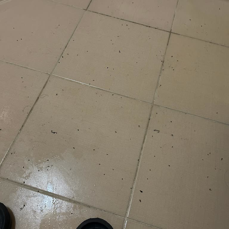 Aldığım Bornoz Ve Havlu Aşırı Tüy Döküyor, İade Veya Değişim İstiyorum