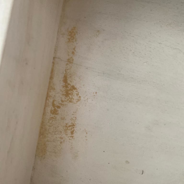 Home Sweet Home Ürünlerde Sorun Yaşama