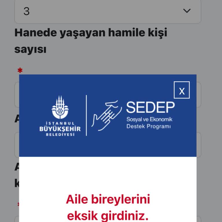 Başvuru Sayfası Hatası Nedeniyle Yardım Alamıyorum