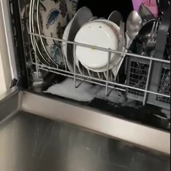 Beko Bulaşık Makinesi Sürekli Arızalı, Servis Ve Satıcı İlgisizliği