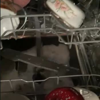 Beko Bulaşık Makinesi Sürekli Arızalı, Servis Ve Satıcı İlgisizliği