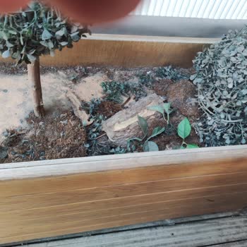 Canpark Tchibo Mağazasında Bakım Eksikliği Ve Hijyen Sorunu