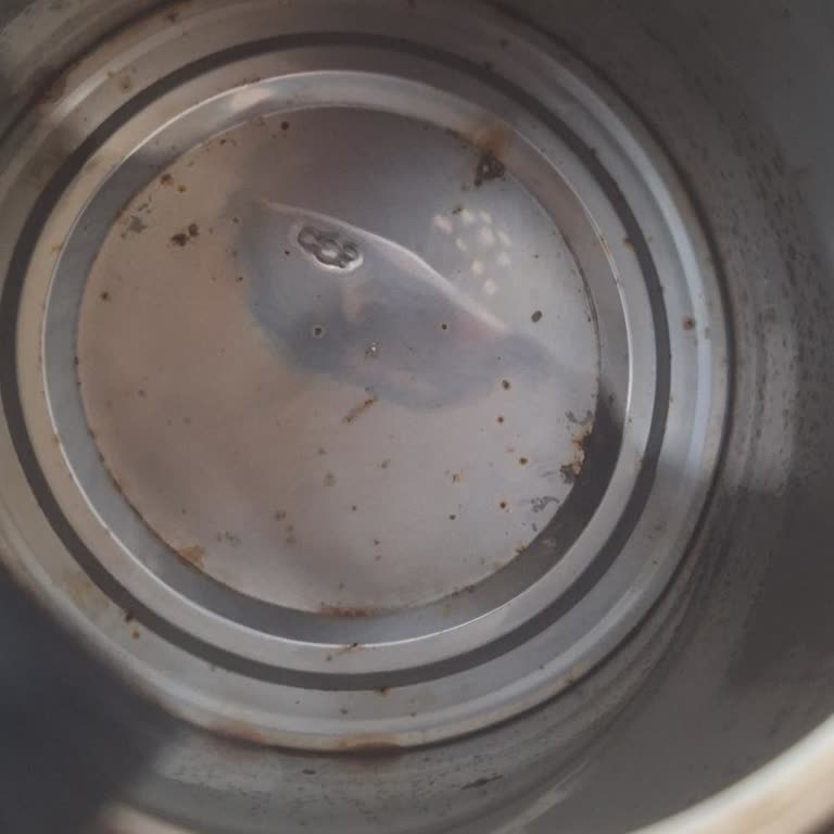 Kötü Yemekler Ve Hijyen Sorunlarıyla Hayal Kırıklığı Yaratan Otel Deneyimi