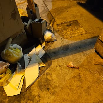 Kapı Önünden Çöp Toplanması Sağlığımızı Ve Çevremizi Tehdit Ediyor